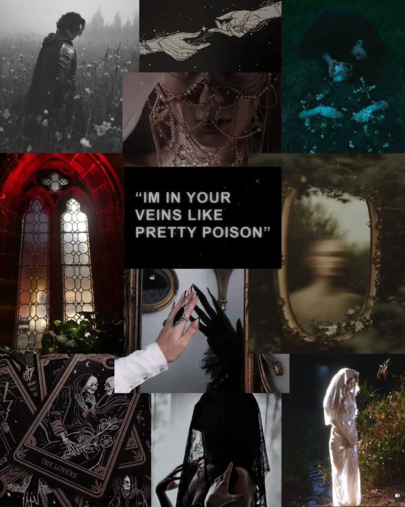 Collage for Gothic Romantasy (book project)